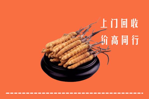 高价求购：林芝市回收散虫草