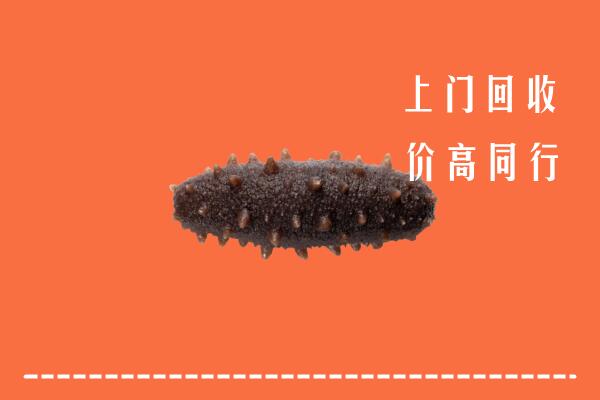林芝市回收海参