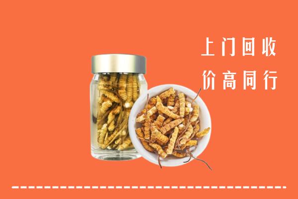 林芝市回收冬虫夏草